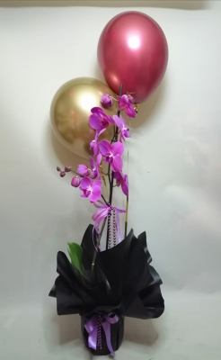 Tekdal Mor Orkide Balon