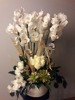 Specıal Beyaz Orkide Tasarım
